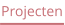 Projecten